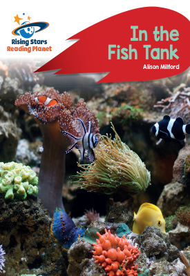 Reading Planet - In the Fish Tank - Red B: Rocket Phonics